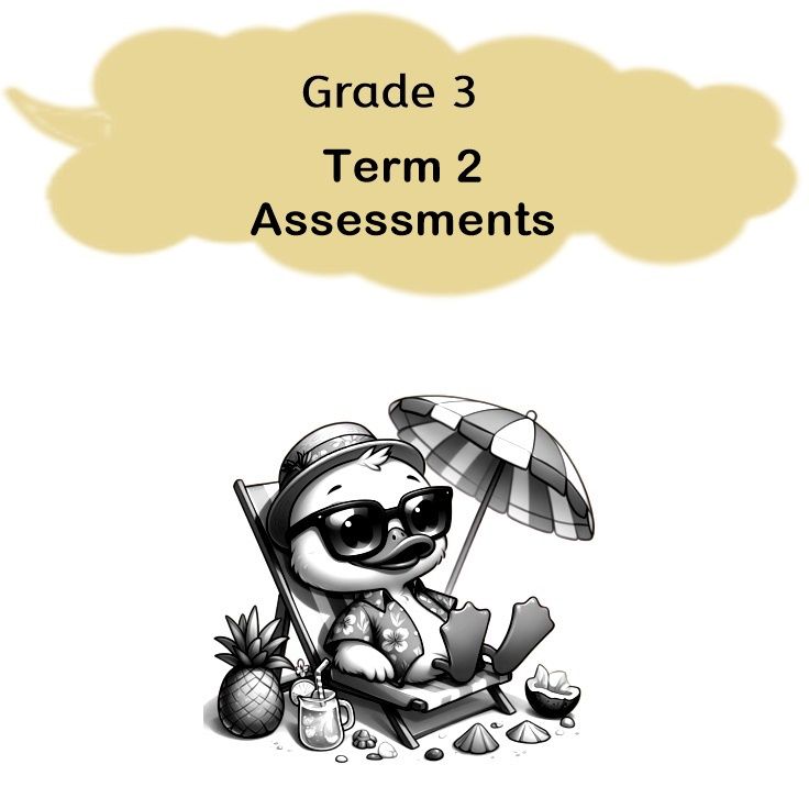 Grade 3 - Term 2 Assessment