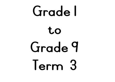 Term 3