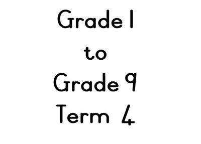 Term 4