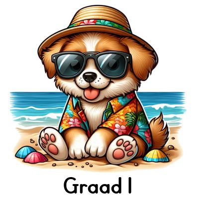 Graad 1