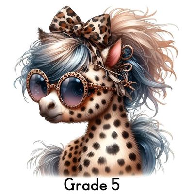 Grade 5