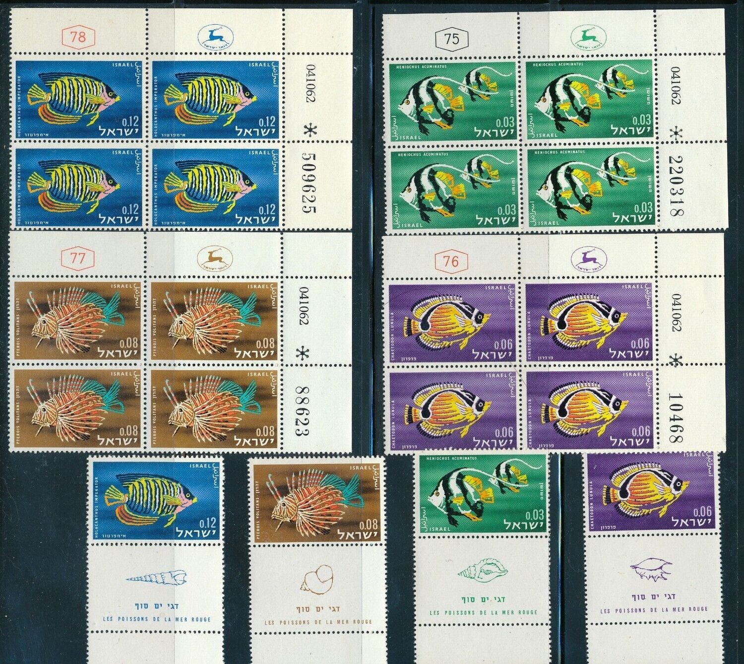 ISRAEL 1962 FAUNA RED SEA FISH PLATE BLOCKS + STAMPS SET MNH