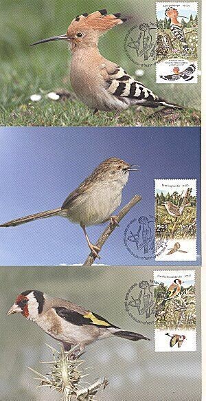 ISRAEL 2010 BIRDS OF ISRAEL SET OF 3  MAXIMUM CARDS