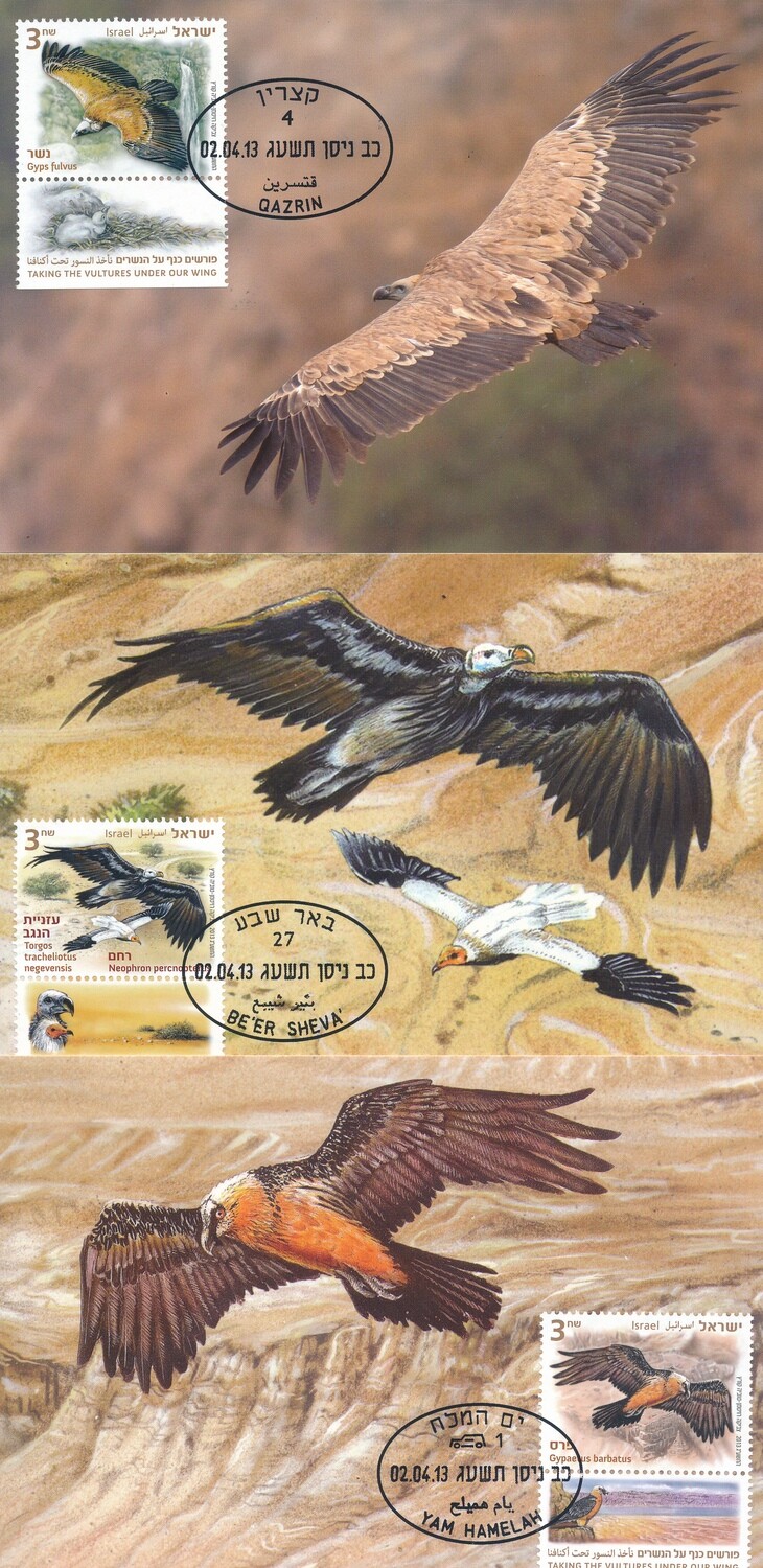 ISRAEL 2002 BIRDS OF THE JORDAN RIVER SET OF 3 MAXIMUM CARDS