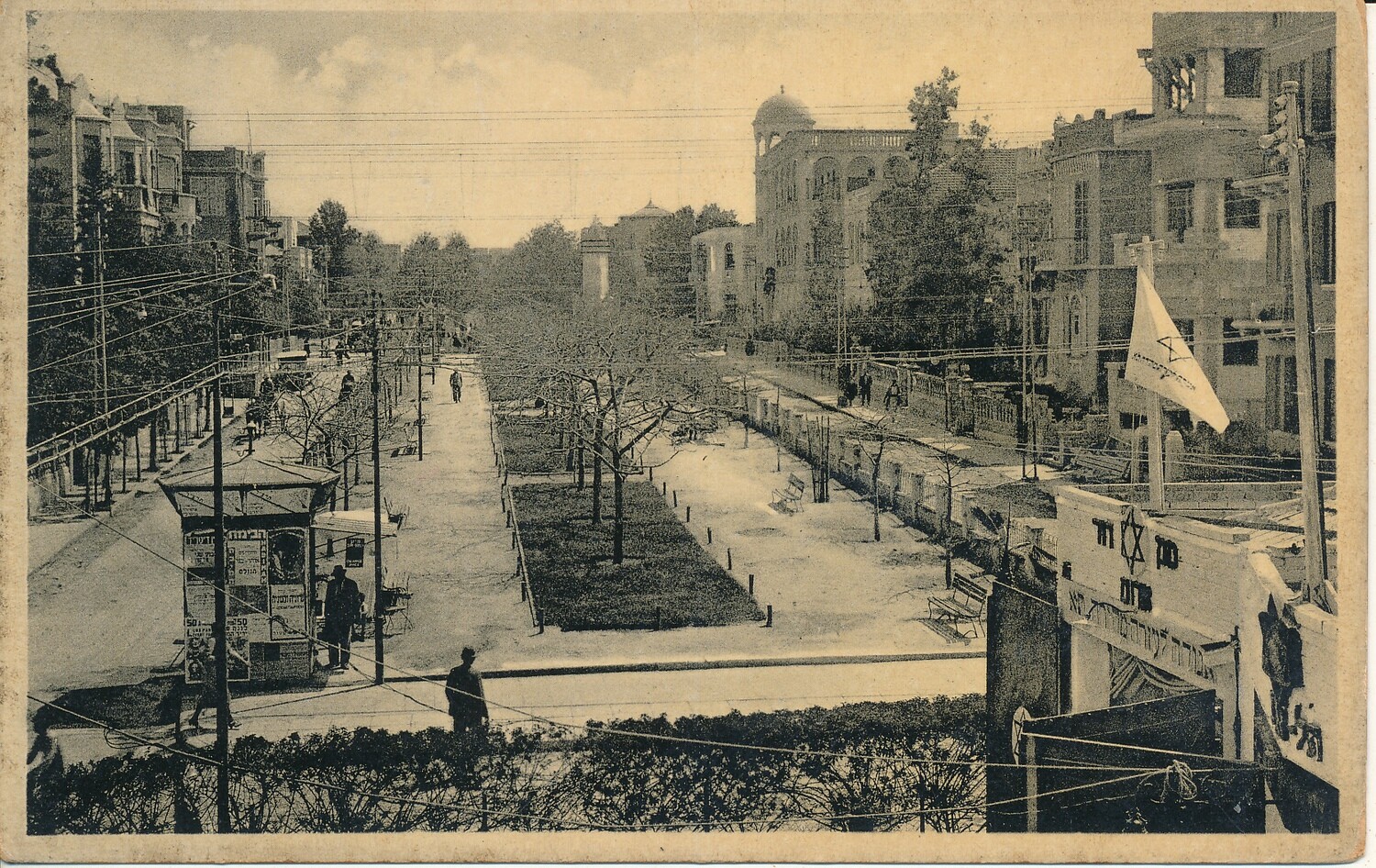 ISRAEL EARLY 1950&#39;s TEL AVIV ROTHCHILD BLVD UN-USED POST CARD