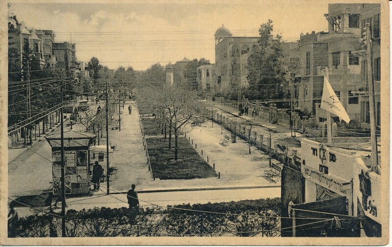 ISRAEL EARLY 1950&#39;s TEL AVIV ROTHCHILD BLVD UN-USED POST CARD