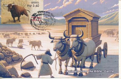 ISRAEL 2024 ANIMALS FROM THE BIBLE - CATTLE - ATM LABELS MACHINE # 001 POSTAL SERVICE MAXIMUM CARD