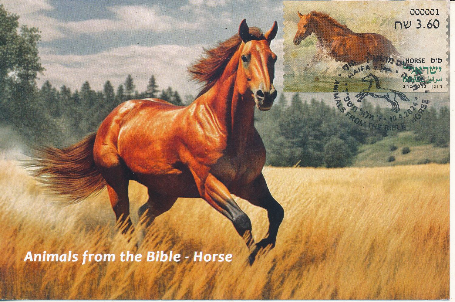 ISRAEL 2024 ANIMALS FROM THE BIBLE - HORSE - ATM LABELS MACHINE # 001 POSTAL SERVICE MAXIMUM CARD