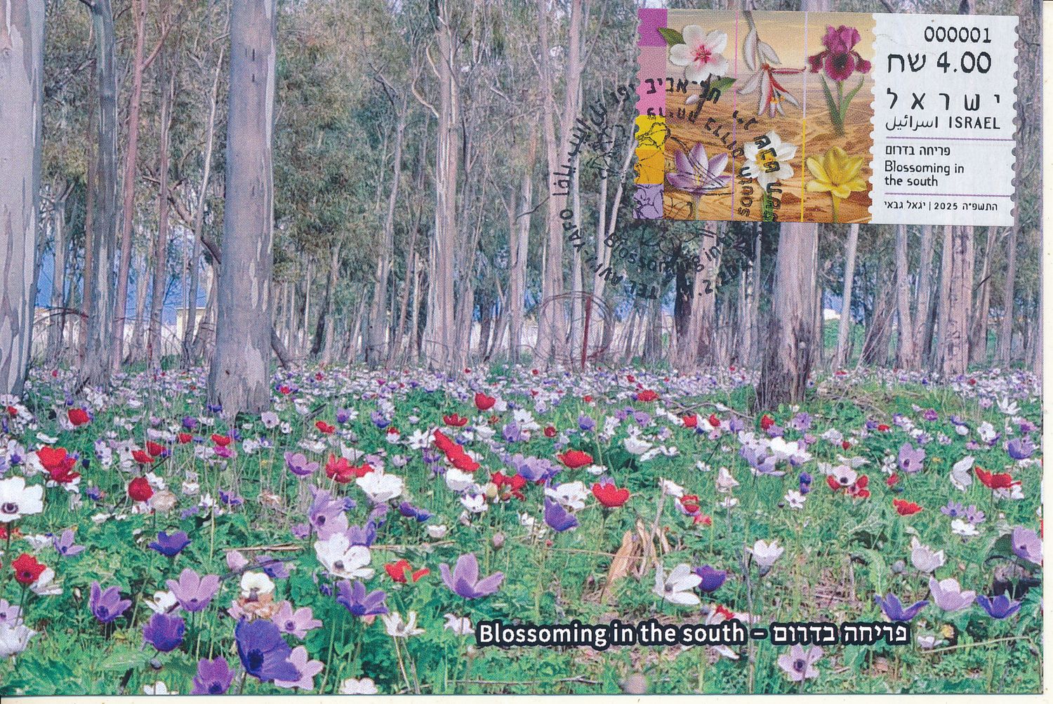 ISRAEL 2025 FLOWERS BLOSSOMING IN THE SOUTH ATM LABEL MAXIMUM CARD