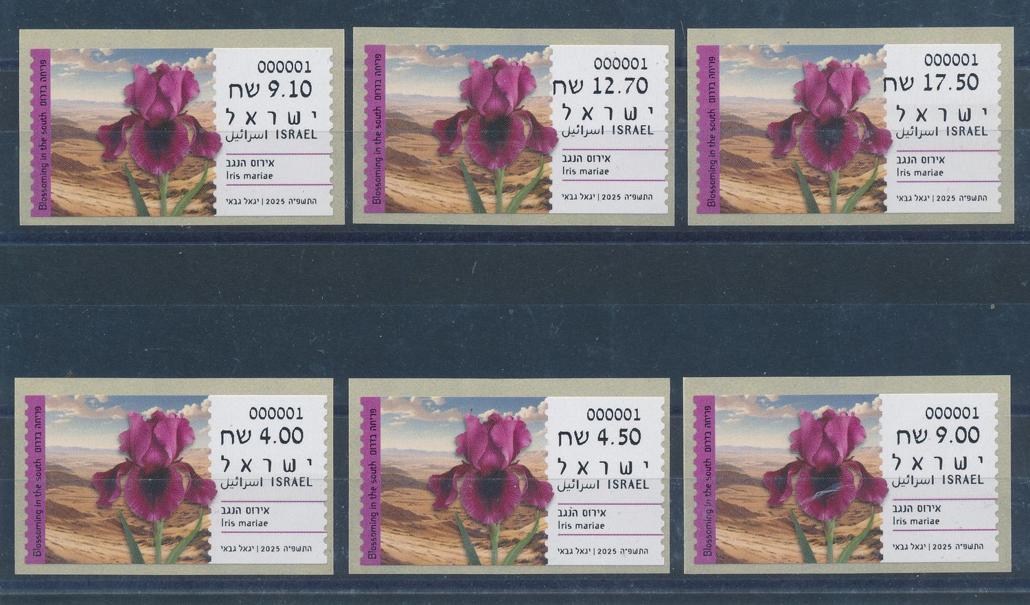ISRAEL 2025 FLORA IRIS MARIAE ATM LABEL SET MACHINE 001 POSTAL SERVICE MNH