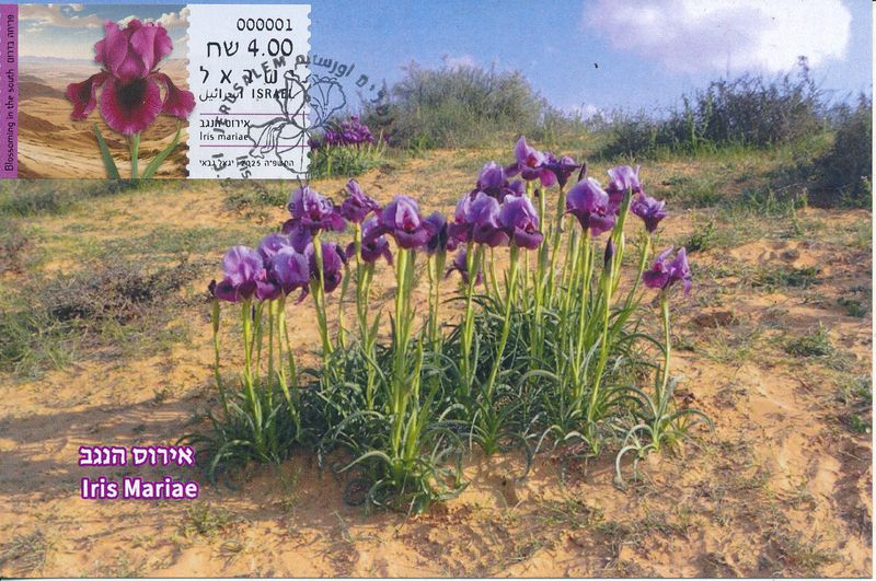 ISRAEL 2025 FLORA IRIS MARIAE ATM LABEL MACHINE 001 POSTAL SERVICE MAXIMUM CARD