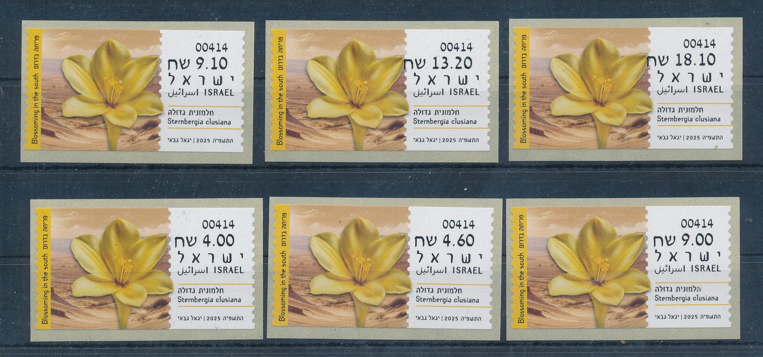 ISRAEL 2025 BLOSSOMING IN THE SOUTH STERNBERGIA CLUSIANA ATM SET MACHINE 414 MNH