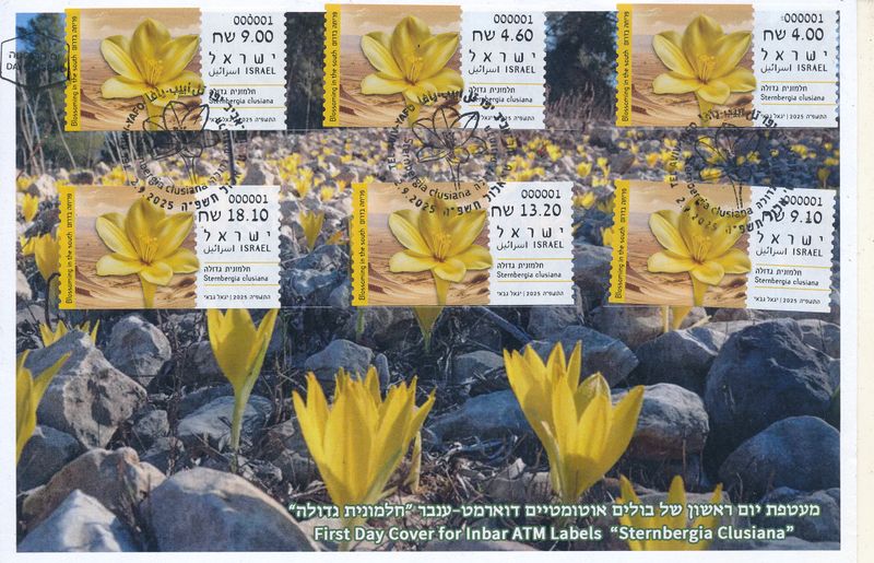 ISRAEL 2025 BLOSSOMING IN THE SOUTH STERNBERGIA CLUSIANA ATM SET MACHINE 001 FDC
