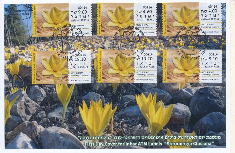 ISRAEL 2025 BLOSSOMING IN THE SOUTH STERNBERGIA CLUSIANA ATM SET MACHINE 414 FDC