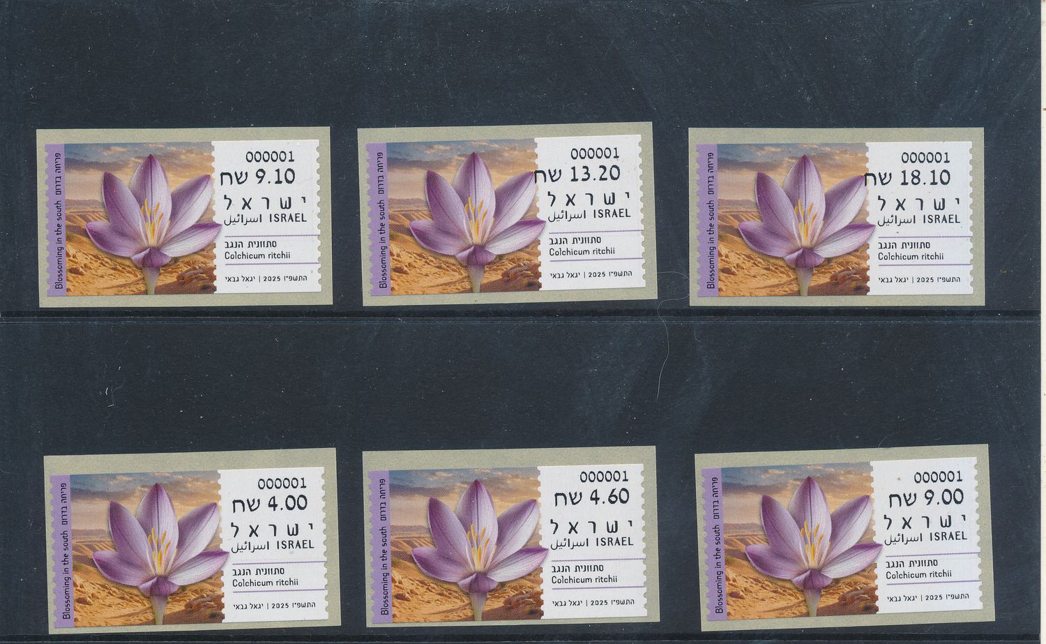 ISRAEL 2025 FLOWERS BLOSSOMING IN THE SOUTH  COLCHISCUM ATM LABELS SET MACHINE # 001 POSTAL SERVICE MNH