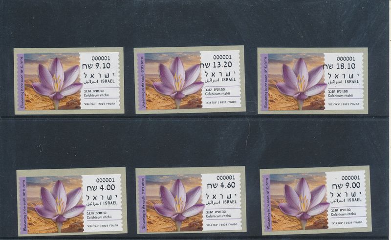 ISRAEL 2025 FLOWERS BLOSSOMING IN THE SOUTH  COLCHISCUM ATM LABELS SET MACHINE # 001 POSTAL SERVICE MNH