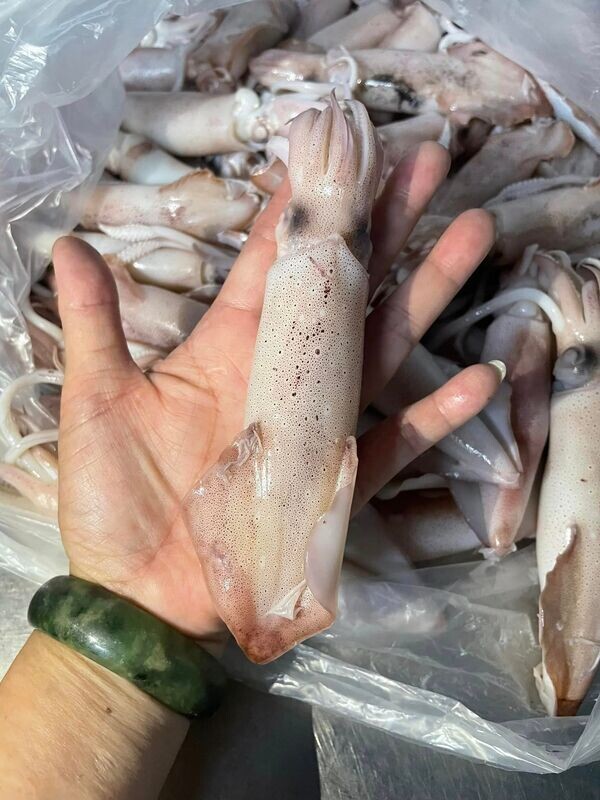 小卷一包(300g/包)