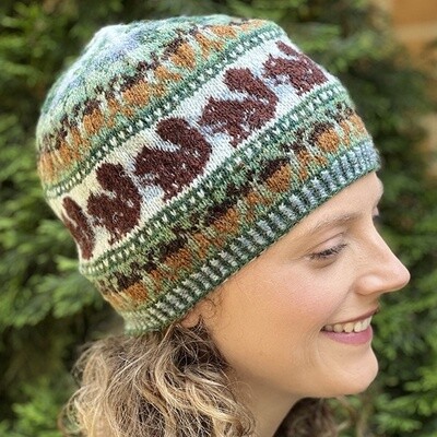 Nutsy Cap kit, Nusty Cap, hat kit, cap kit, knit hat kit, knit hat, Fair Isle hat kit, Fair Isle hat, colorful hat, Jamieson's of Shetland Spindrift, Spindrift, Shetland Wool, Michigan Fiber Festival 2023, MFF 2023