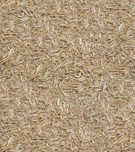 TYCO Pasture Mix 25 lbs.