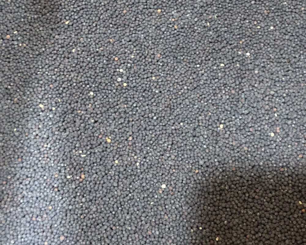 Rape Seed per pound. Rape Seed per pound.