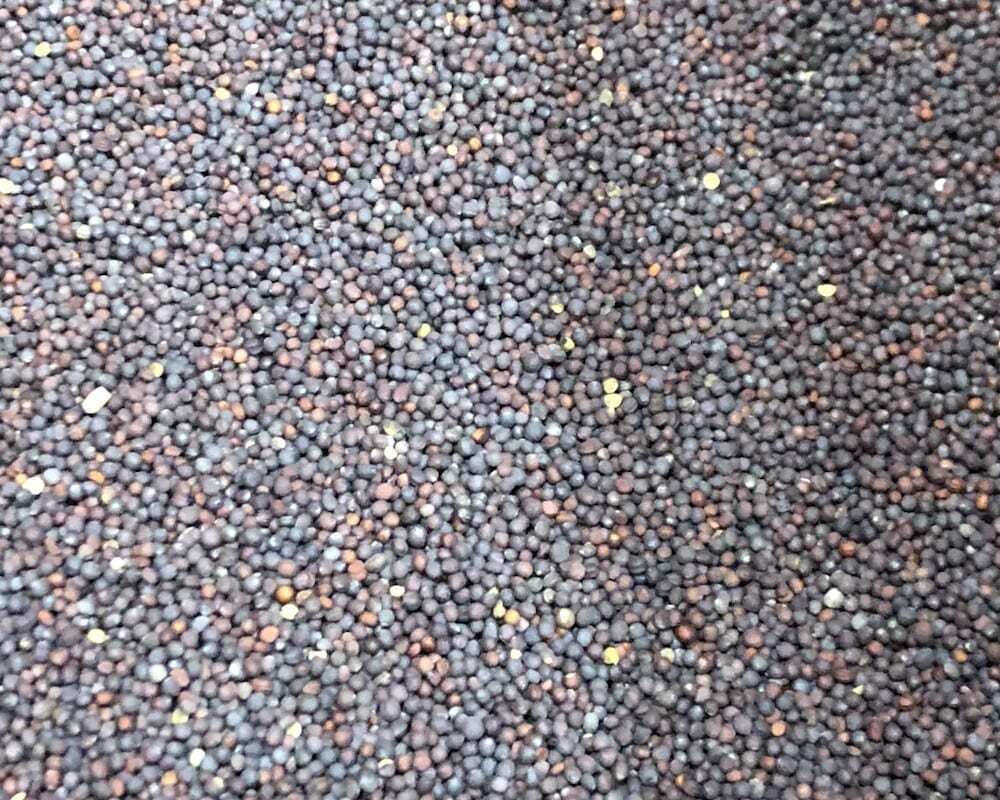 Turnips per pound Turnips per pound