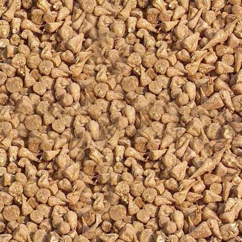 Sugar Beets pet lb. Sugar Beets pet lb.