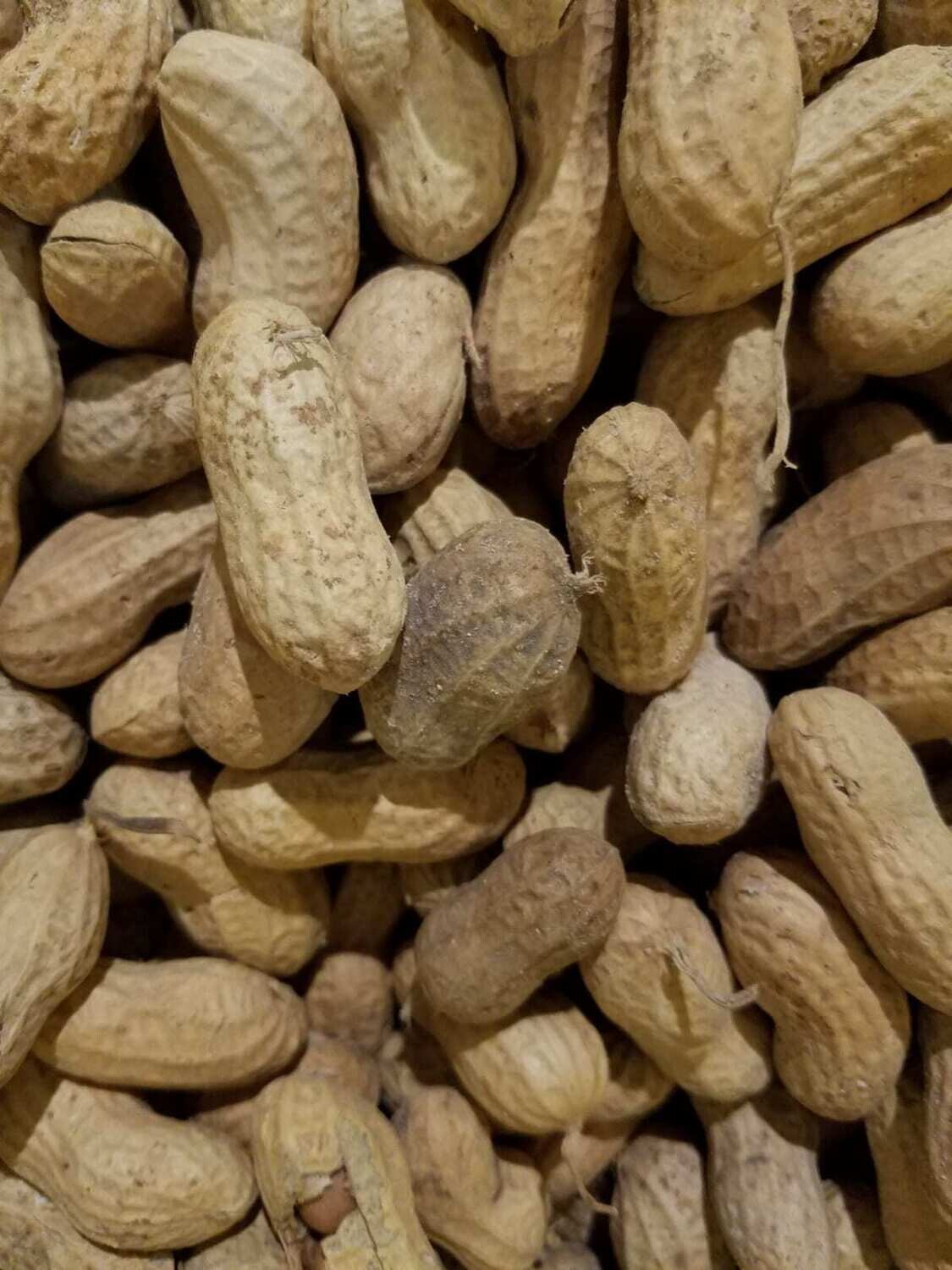 Raw Peanuts in Shell 25lb