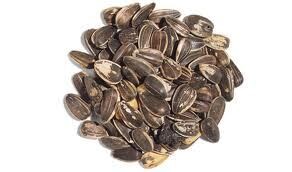 Striped Sunflower 40#