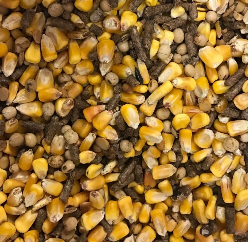 Original Deer Feed 50 lbs. Original Deer Feed 50 lbs.