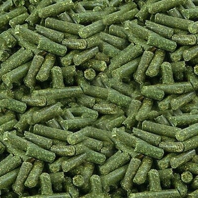 Timothy Pellets 50lbs.