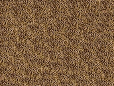 Zeigler Finfish Gold 44 lbs