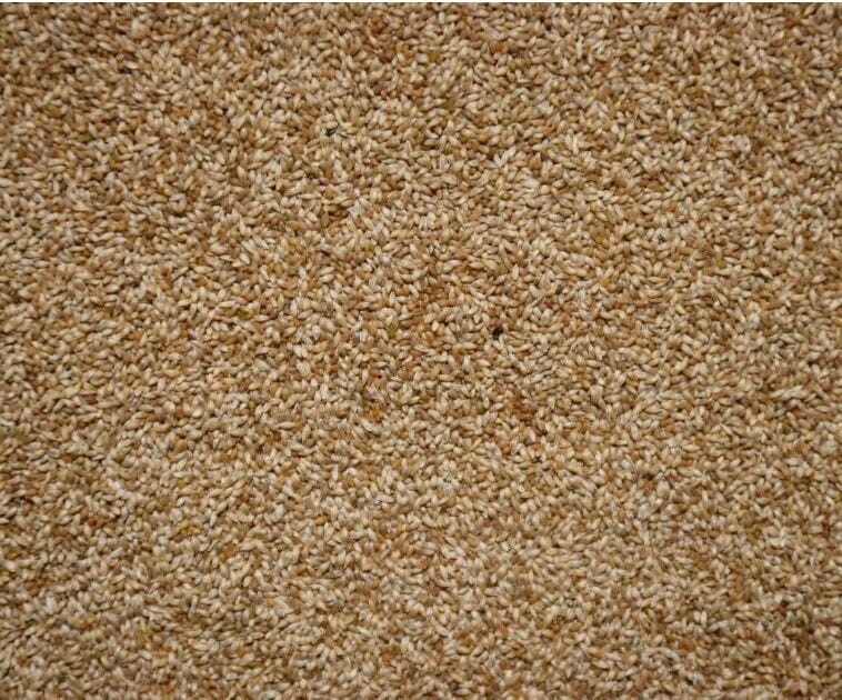 Timothy Climax Per lb Timothy Climax Per lb