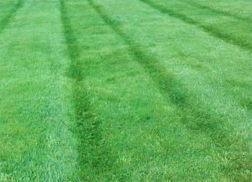 Penn State Mix per Pound