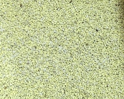 Alfalfa Seed Per Pound