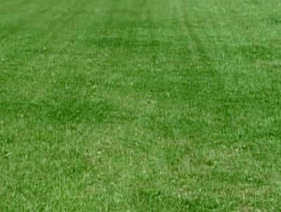 Contractors Mix 25 lbs.