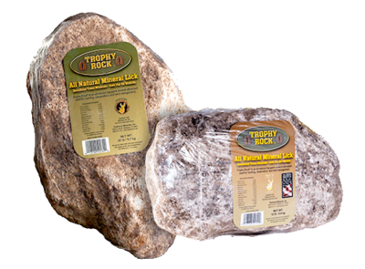 Trophy Deer Rock 12#