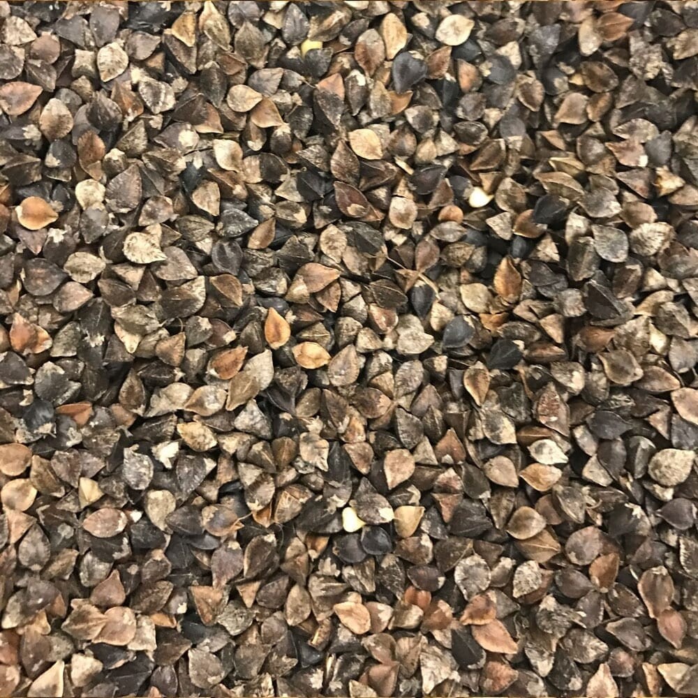 Buckwheat 10lb