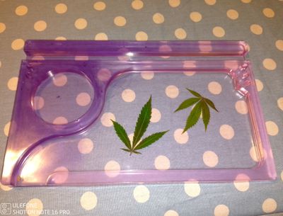 Epoxidharz Rolling tray