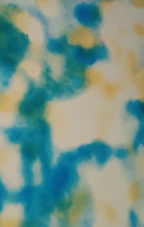 F0005 Summer Cloud