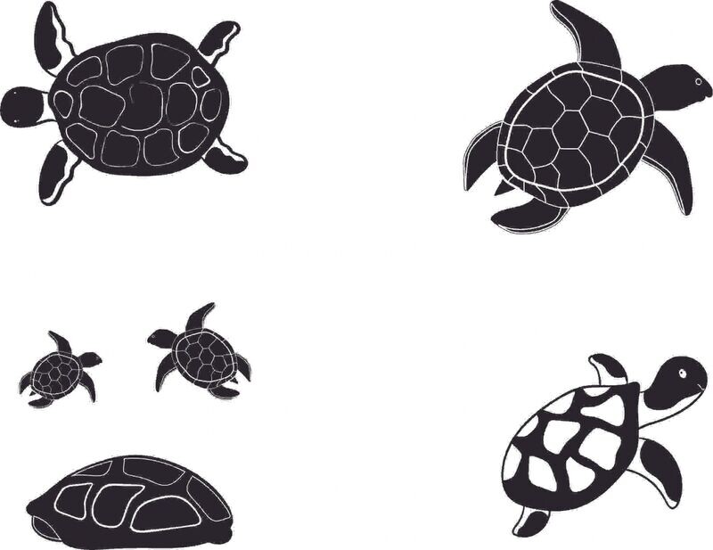 Q0020 Turtles