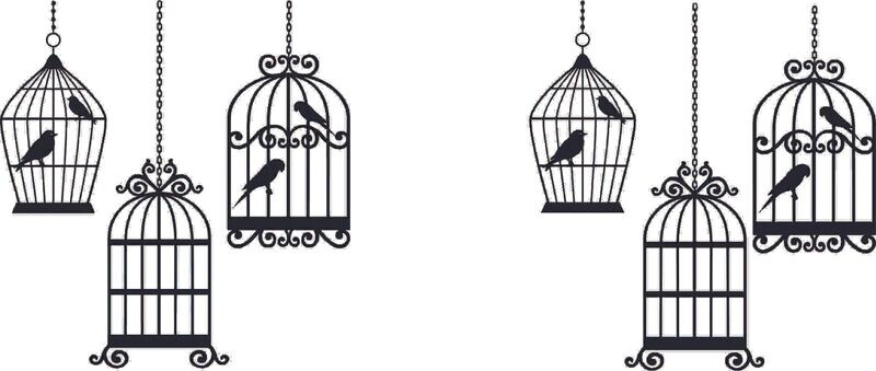Q0017 Bird Cage
