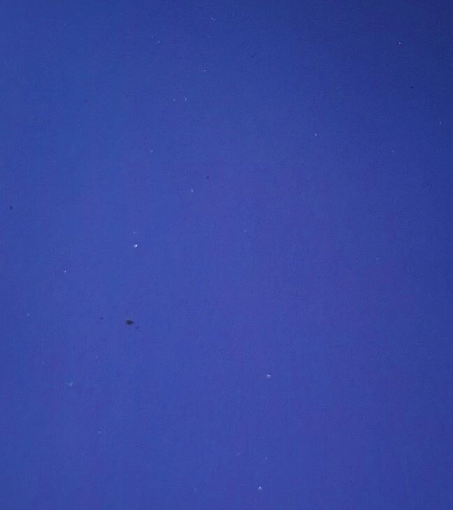F0032 Deep Sea Blue