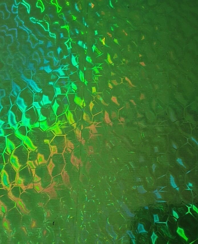 F0023 Rain Forrest