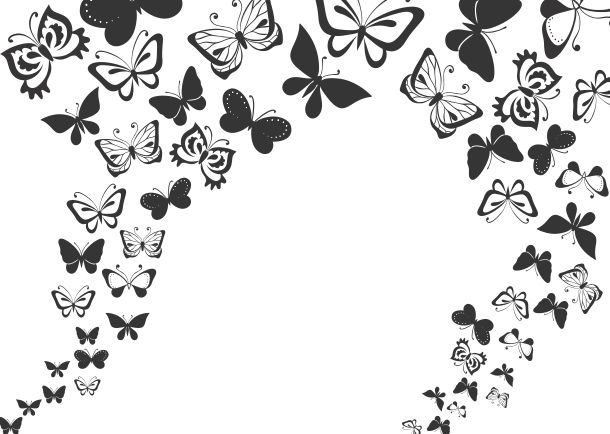 Q0042 Butterfly flight