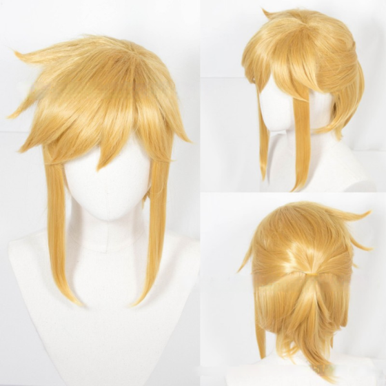 Link Cosplay