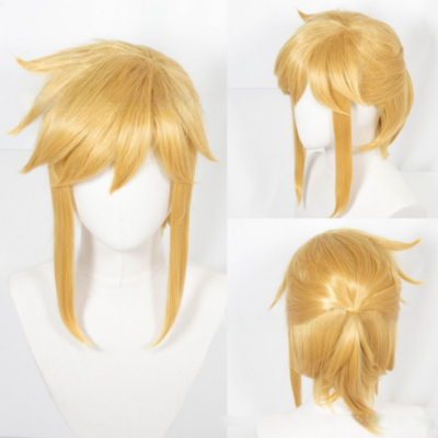 Link Cosplay