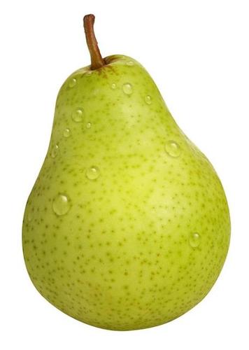 Monterrey Pear
