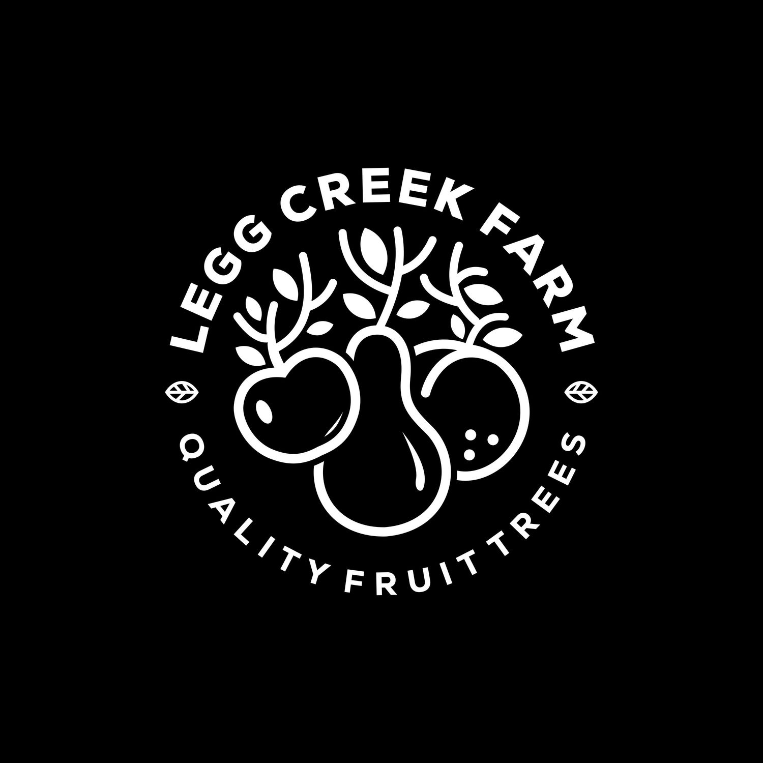 Bella Canvas Legg Creek Farm short sleeve t-shirt