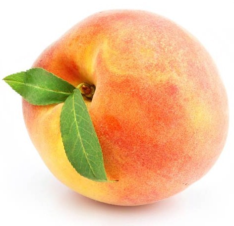 Florida King Peach