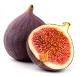 Fig Trees